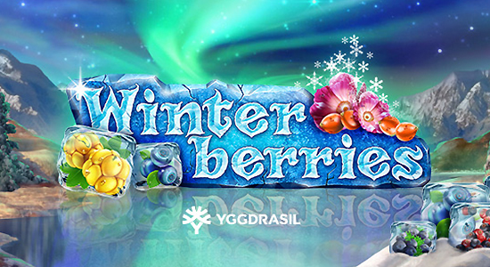 machine à sous jeu gratuit Winterberries