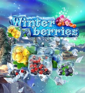 Jeu fun en ligne winter berries